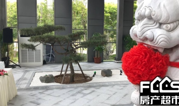 盛世邢台院子
