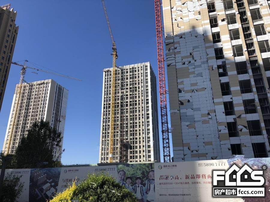 鲁商铂悦公馆一房一价信息哪里查?」- 哈尔滨房产超市