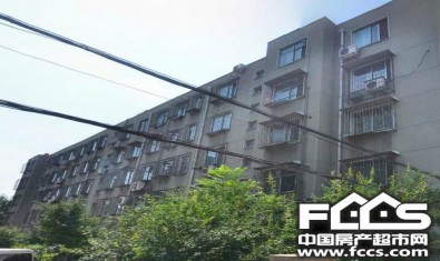 向阳新村封面图