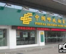建业森林的封面图