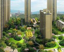 中泽纯境的封面图